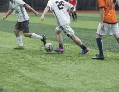 法国男足奥,运赛,新西兰领跑,开云体育,开云体育官网,开云体育app,开云体育平台,KAIYUN,SPORTS,kaiyun登录入口