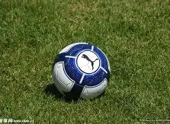 中国足协启,动国家男足,主教练公开,开云体育,开云体育官网,开云体育app,开云体育平台,KAIYUN,SPORTS,kaiyun登录入口