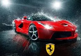 国王萨博尼,斯左膝半月,板损伤,开云体育,开云体育官网,开云体育app,开云体育平台,KAIYUN,SPORTS,kaiyun登录入口