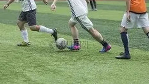 开云体育官网登录 产品 111509 7ib