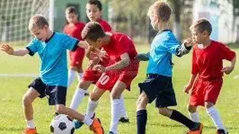 开云体育官网登录 资讯 133801 4pb