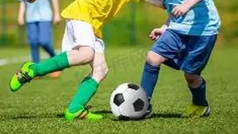 开云体育官网登录 资讯 133023 bg5