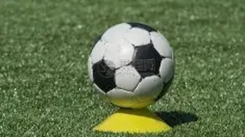 开云体育官网登录 资讯 134421 47i