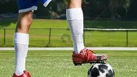 开云体育官网登录 产品 133519 gkm