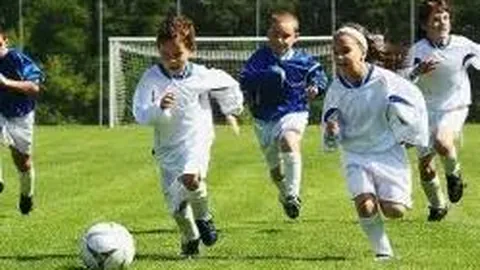 开云体育官网登录 产品 101456 t8d