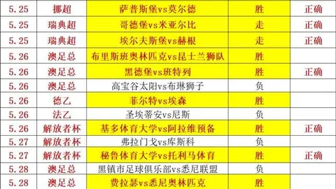 墨尔本胜利梯队深度解析：12战9胜，关键数据